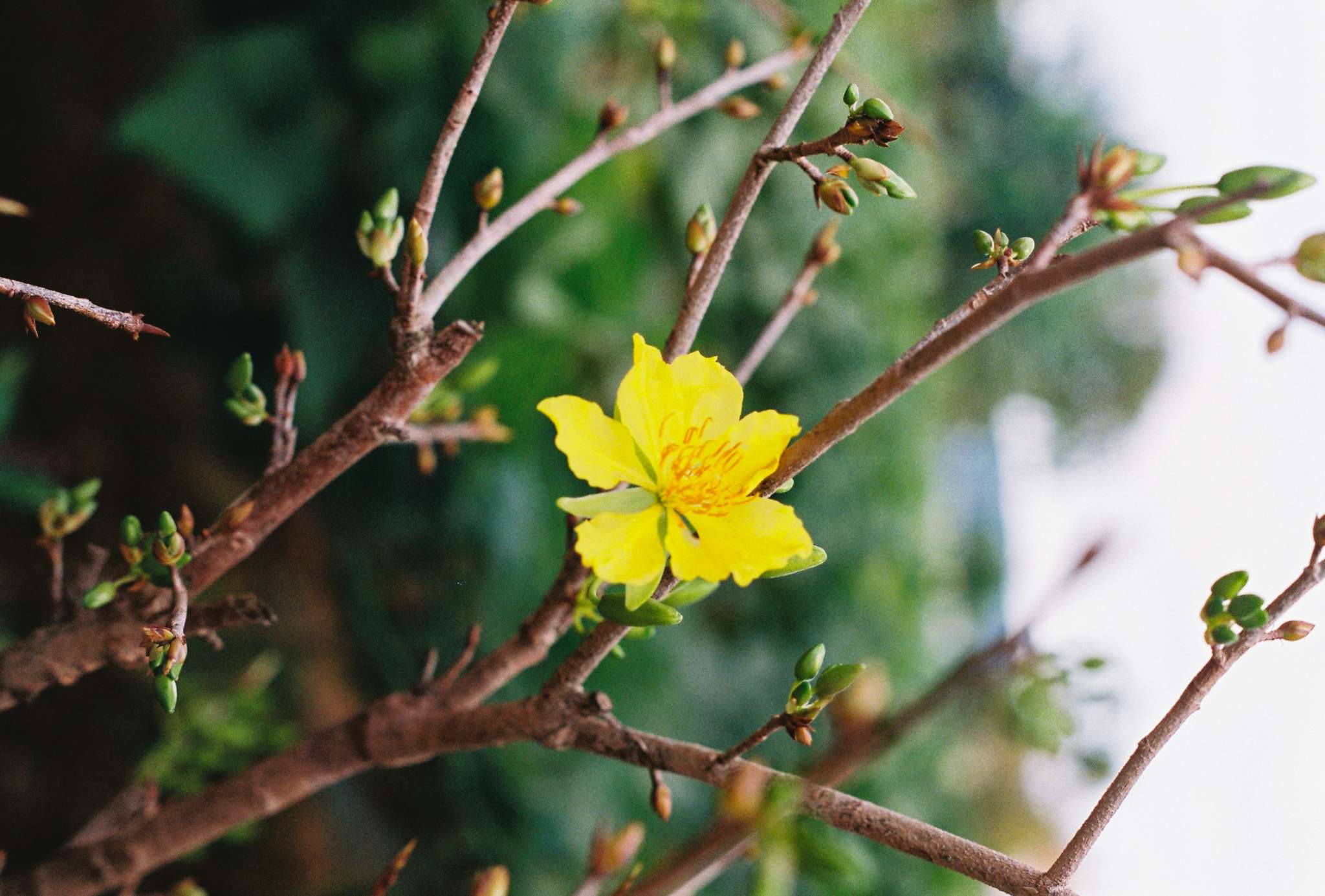 #6 - F/5.6 - 1/1000 - soft morning light